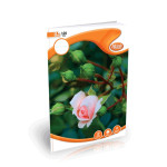 Atlas Single Rule CR Books