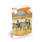 Atlas Single Rule CR Books