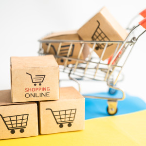 Shop Smart: Top Products to Buy in Sri Lanka